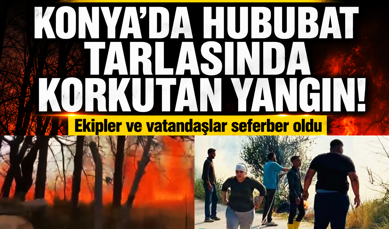 Konya’da hububat tarlasında korkutan yangın! Ekipler ve vatandaşlar seferber oldu