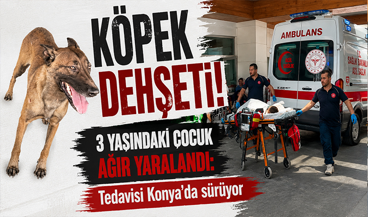 Köpek dehşeti! 3 yaşındaki çocuk ağır yaralandı: Tedavisi Konya’da sürüyor